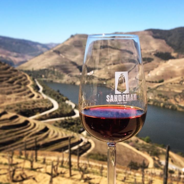 A wine tour is a must, of course, when in the region. @ Sandeman's in Quinta do Seixo